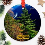Pennsylvania Grand Canyon by Ave Hurley -  Ornament (Round)