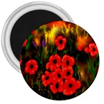 Poppies 3 -  Ave Hurley -  3  Magnet