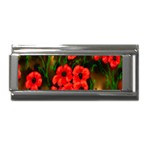 Poppies 3 -  Ave Hurley -  Superlink Italian Charm (9mm)