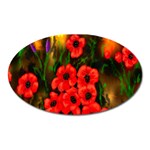 Poppies 3 -  Ave Hurley -  Magnet (Oval)