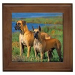 Great Danes - Quality Dog Lovers Framed Tile