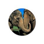 Elephants Rubber Round Coaster (4 pack)