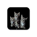 Kitten trio Rubber Coaster (Square)