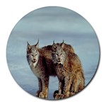 Canada lynxes Round Mousepad