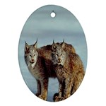 Canada lynxes Ornament (Oval)