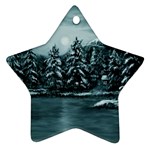 Winter Moon -  Ave Hurley   Ornament (Star)