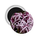 purple flowers 2.25  Magnet