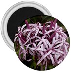 purple flowers 3  Magnet