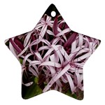 purple flowers Ornament (Star)