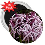 purple flowers 3  Magnet (10 pack)