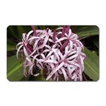 purple flowers Magnet (Rectangular)