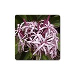 purple flowers Magnet (Square)