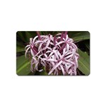 purple flowers Magnet (Name Card)