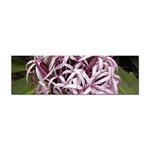 purple flowers Sticker Bumper (10 pack)