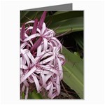 purple flowers Greeting Card