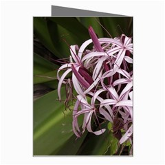 purple flowers Greeting Card from ArtsNow.com Right