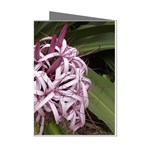 purple flowers Mini Greeting Cards (Pkg of 8)