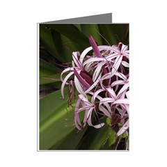 purple flowers Mini Greeting Cards (Pkg of 8) from ArtsNow.com Right