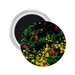 Mystical Garden 2.25  Magnet