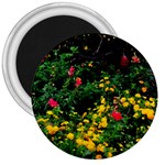 Mystical Garden 3  Magnet