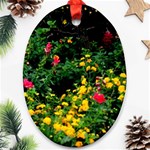 Mystical Garden Ornament (Oval)