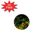 Mystical Garden 1  Mini Magnet (10 pack) 