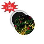 Mystical Garden 1.75  Magnet (10 pack) 