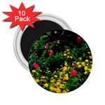 Mystical Garden 2.25  Magnet (10 pack)