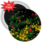 Mystical Garden 3  Magnet (10 pack)