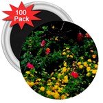 Mystical Garden 3  Magnet (100 pack)