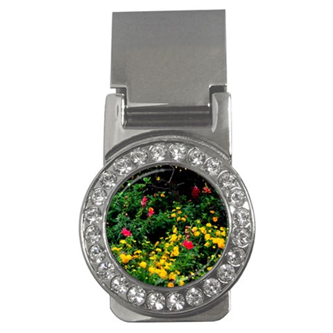Mystical Garden Money Clip (CZ) from ArtsNow.com Front