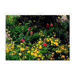 Mystical Garden Sticker A4 (100 pack)