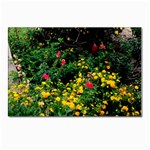 Mystical Garden Postcard 4  x 6 