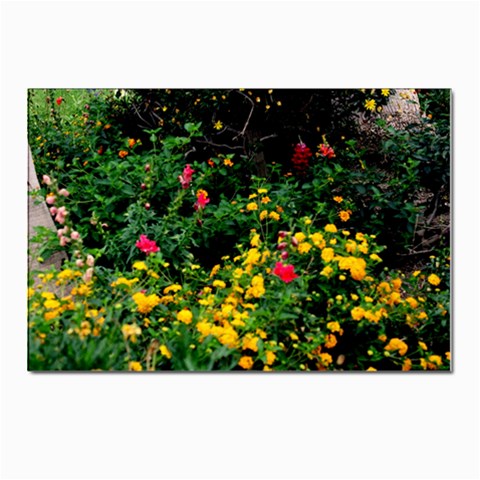 Mystical Garden Postcards 5  x 7  (Pkg of 10) from ArtsNow.com Front