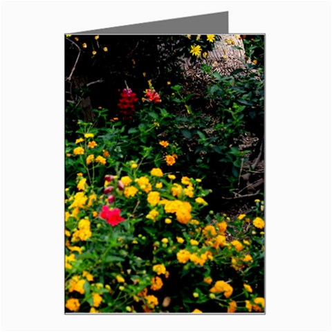 Mystical Garden Greeting Card from ArtsNow.com Left