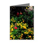 Mystical Garden Mini Greeting Card