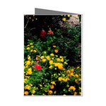 Mystical Garden Mini Greeting Cards (Pkg of 8)