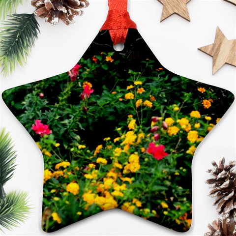 Mystical Garden Star Ornament (Two Sides) from ArtsNow.com Front