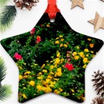 Mystical Garden Star Ornament (Two Sides)