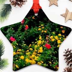 Mystical Garden Star Ornament (Two Sides) from ArtsNow.com Back