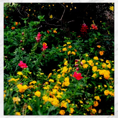 Mystical Garden Canvas 12  x 12  from ArtsNow.com 11.4 x11.56  Canvas - 1