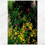 Mystical Garden Canvas 12  x 18 
