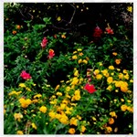 Mystical Garden Canvas 16  x 16 