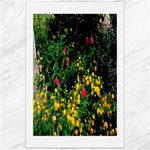 Mystical Garden Canvas 24  x 36 