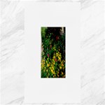 Mystical Garden Canvas 40  x 72 