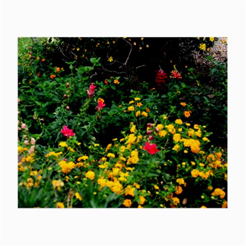 Mystical Garden Glasses Cloth (Small, Two Sides) from ArtsNow.com Front