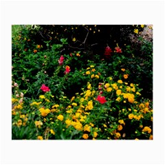 Mystical Garden Glasses Cloth (Small, Two Sides) from ArtsNow.com Back