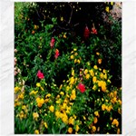 Mystical Garden Canvas 11  x 14 