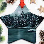 Winter Moon - Ornament (Star)