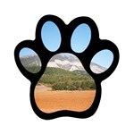 mountainscene1 Magnet (Paw Print)